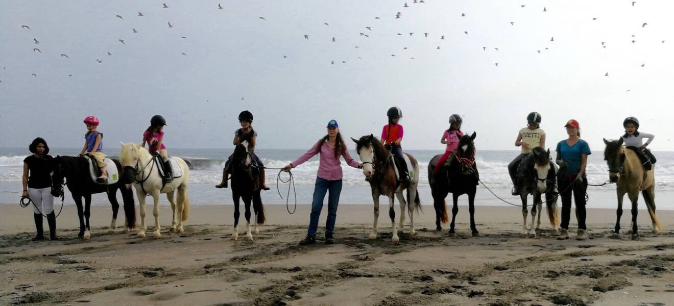 Geführter Ausritt mit Pferden am Strand bei Lima, Peru, im Rahmen eines Farmstay-Programms
