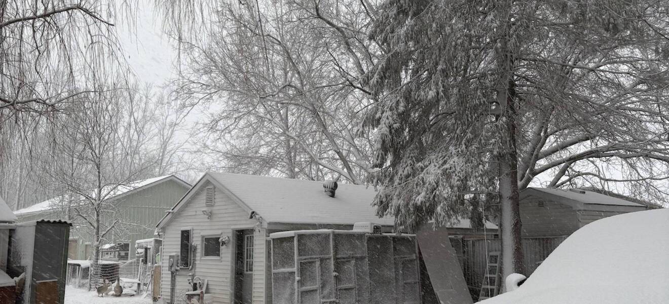 Kanada im Winter