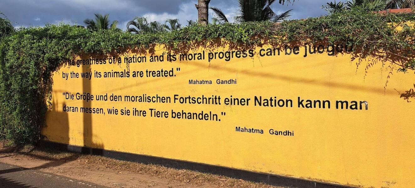 Spruch auf Sri Lanka