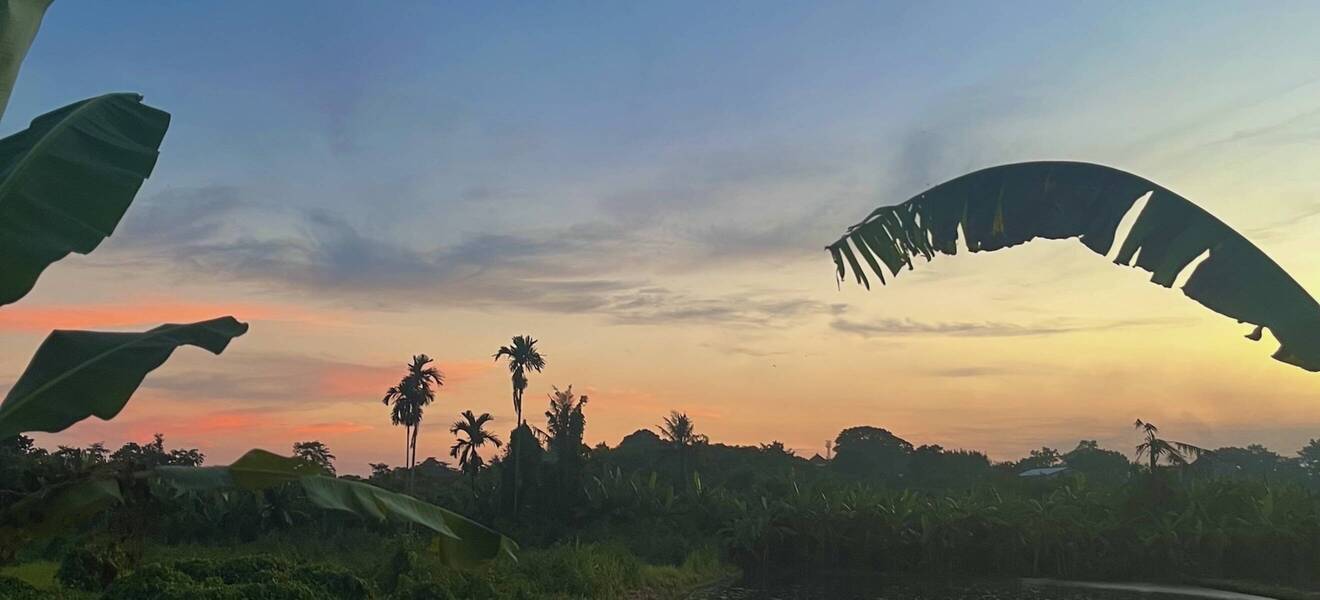Landschaft auf Bali