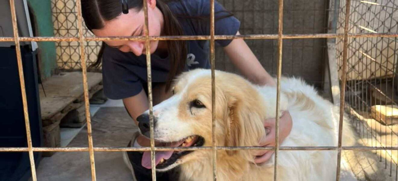 Matthea mit Hund auf Kreta
