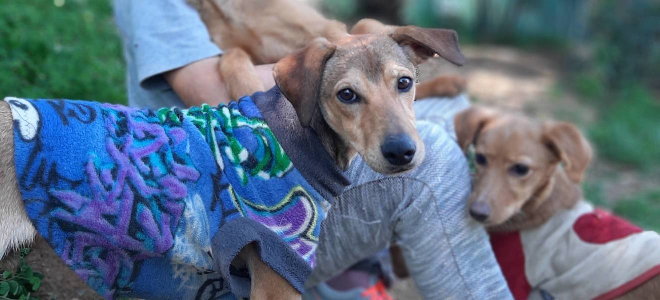 Sophies zeit auf Kreta