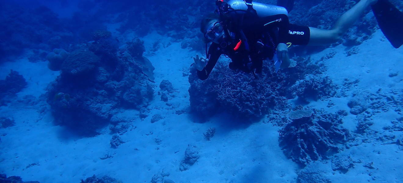 Julians Zeit in Australien