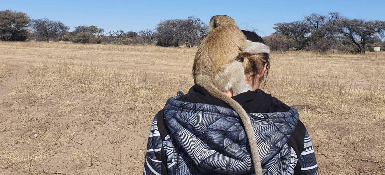 Celines Zeit in Namibia