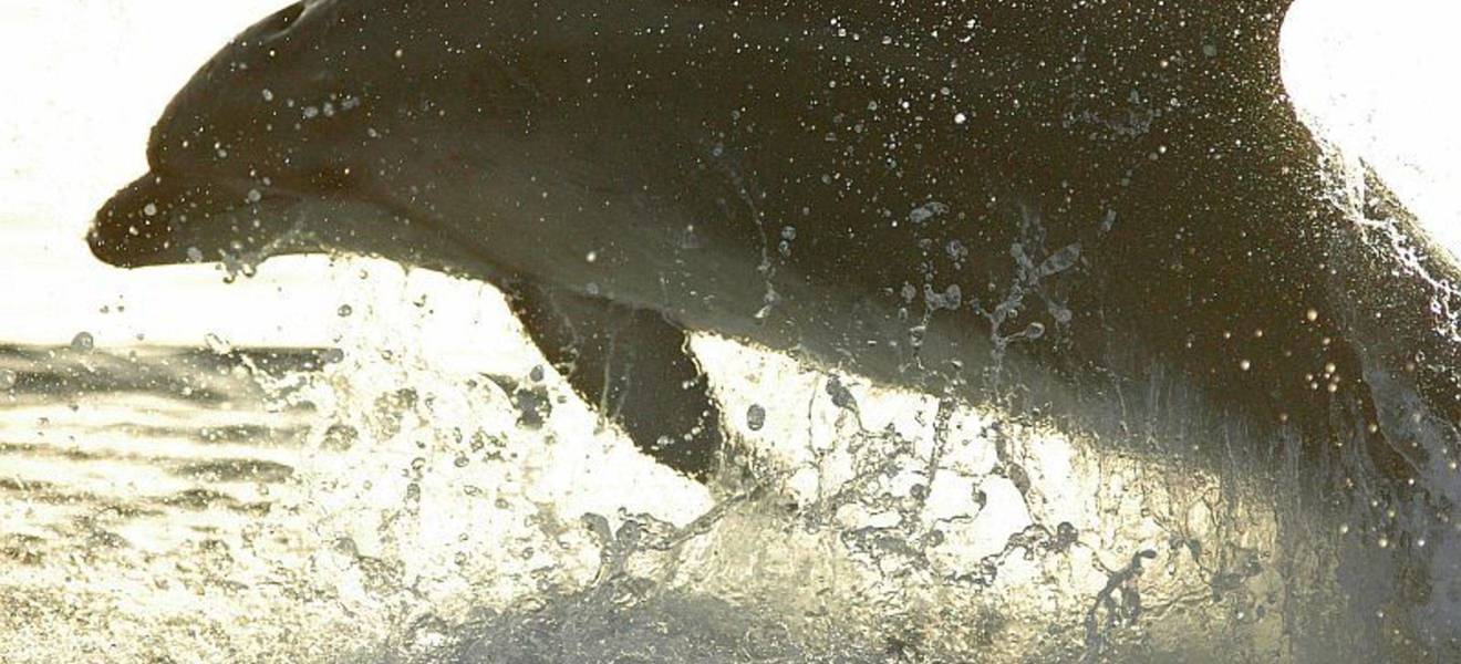 Maries Zeit in Kroatien