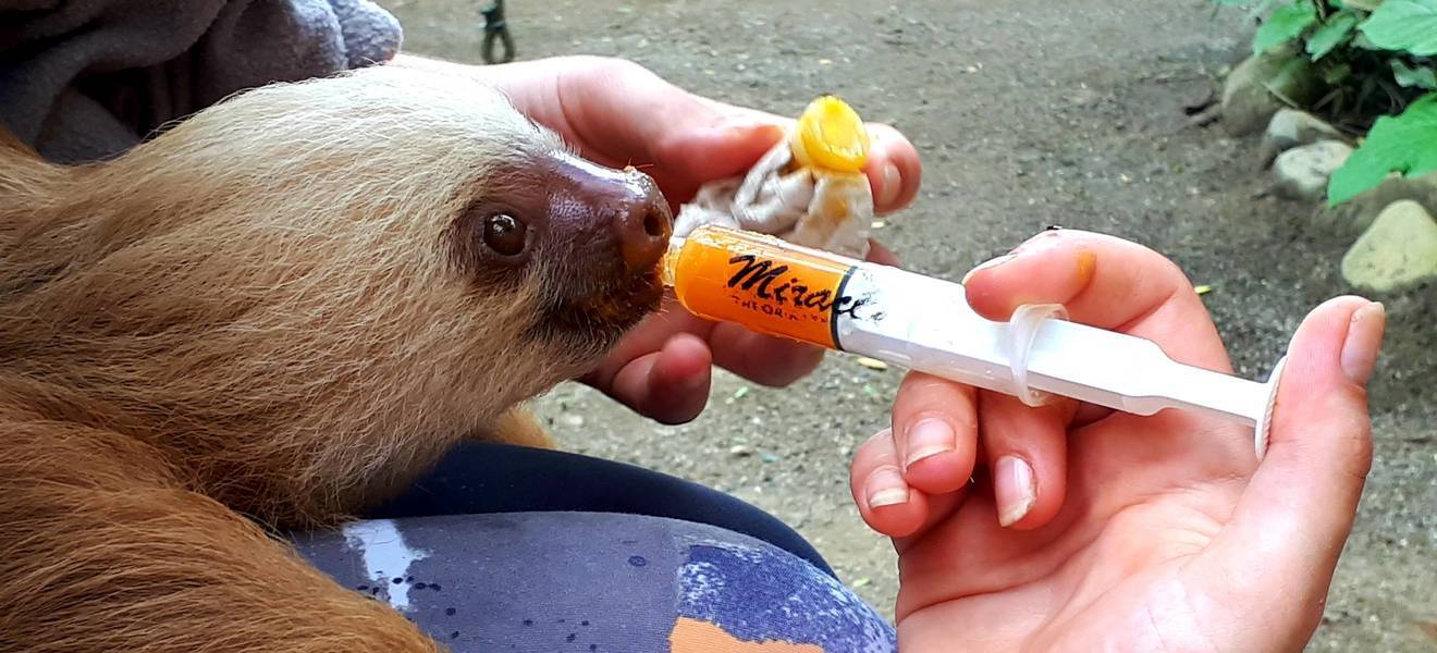 Elenas Zeit in Costa Rica