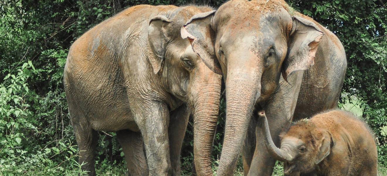 Melanies Zeit in Thailand