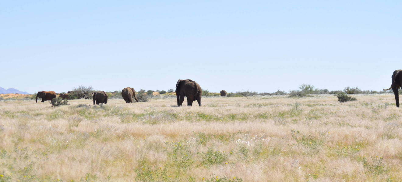 Lena-Marias Zeit in Namibia