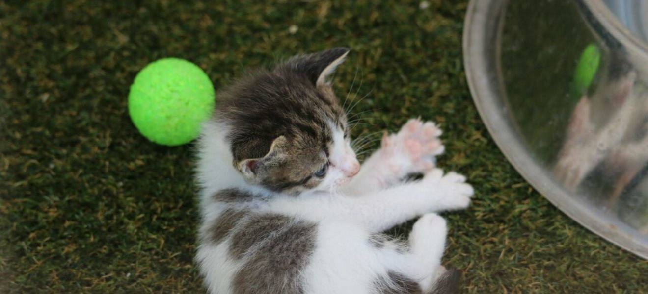 Marianas Zeit in Südafrika