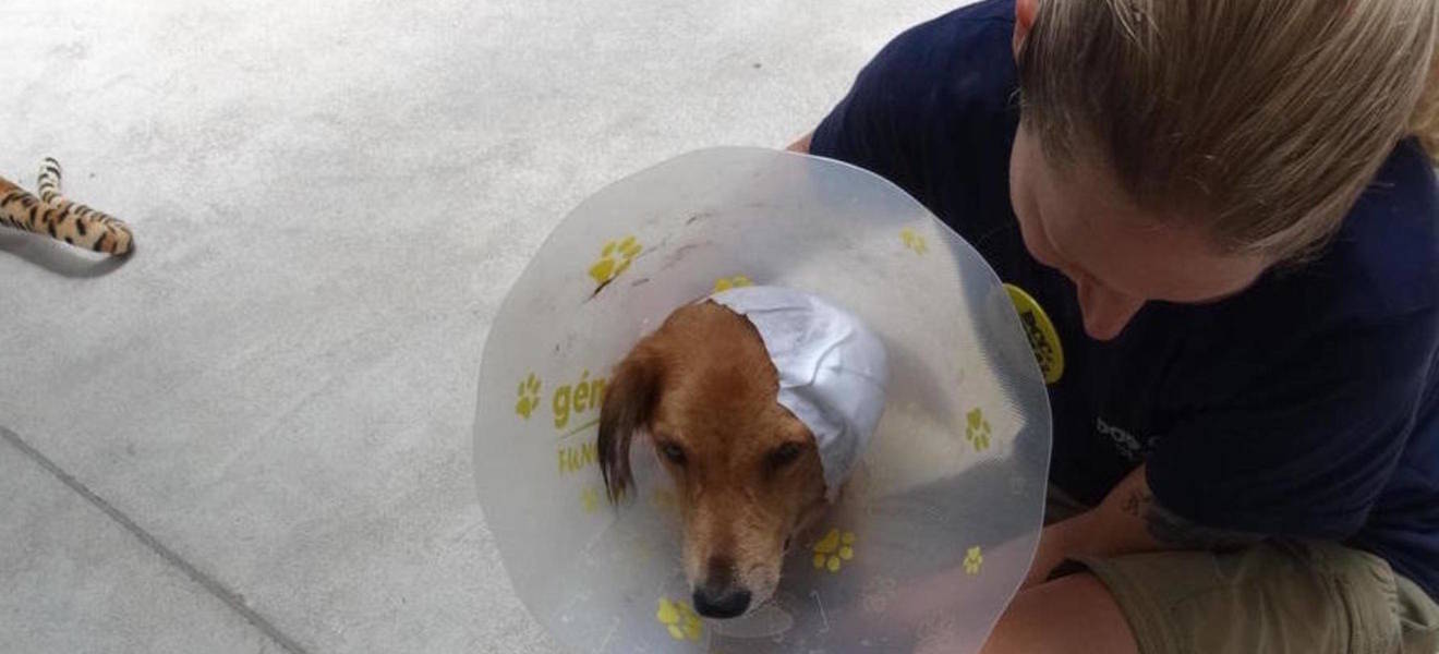 Melanies Zeit in Sri Lanka