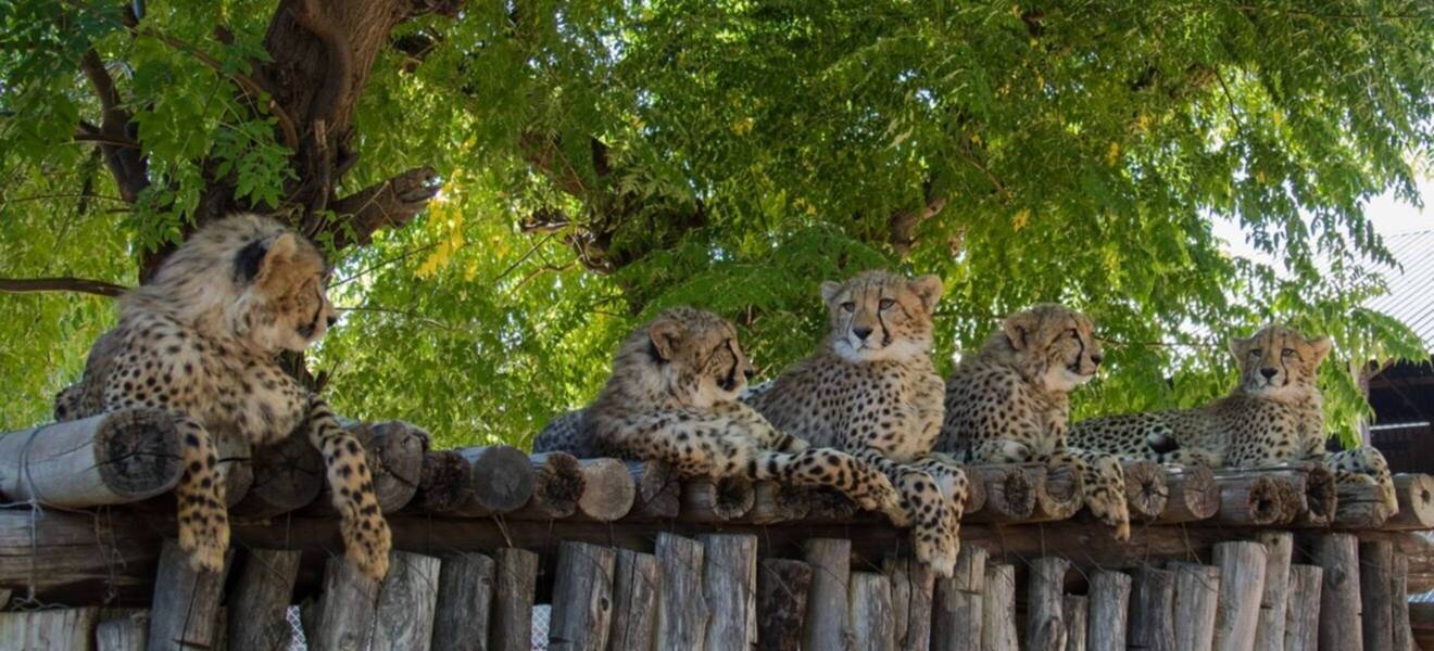 Meine Zeit in Namibia