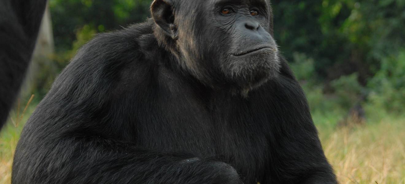 Sofias Zeit in Uganda