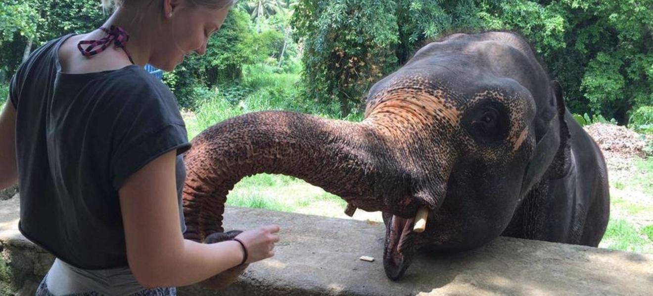 Sophies Zeit auf Sri Lanka