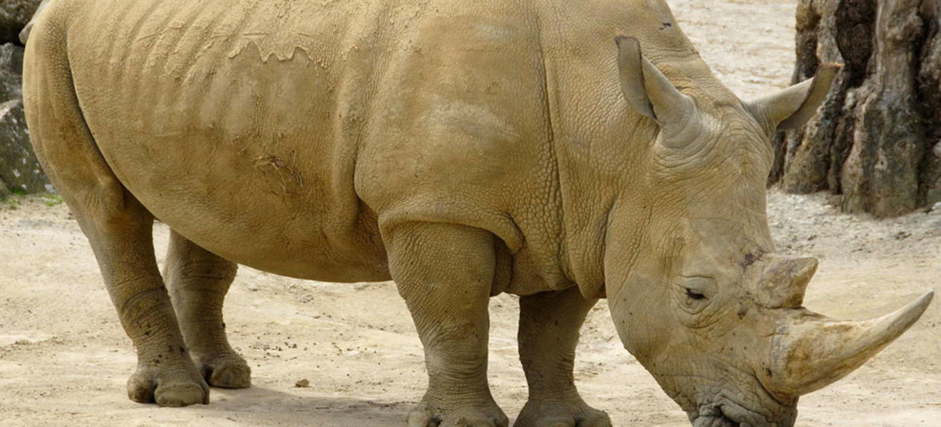 Jans Zeit in Namibia