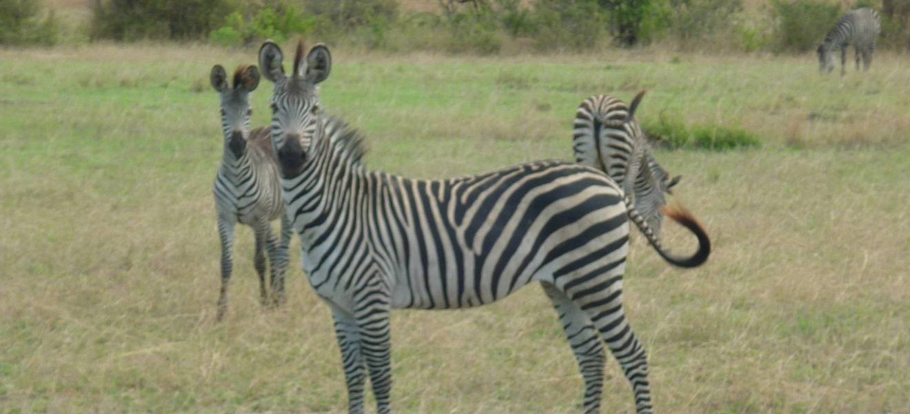 Simones Zeit in Tansania