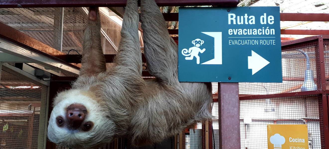 Astrids Zeit in Costa Rica