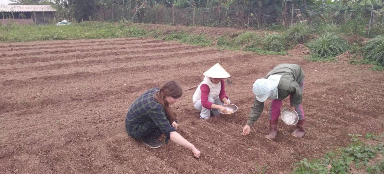 Leas Zeit in Vietnam