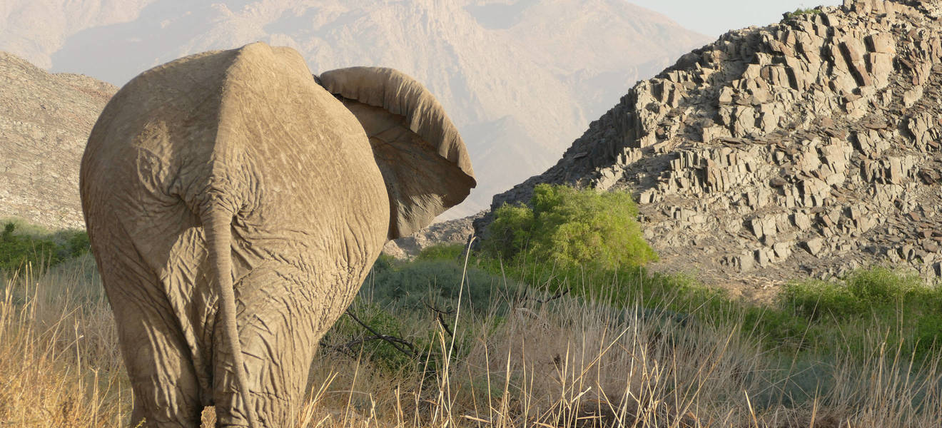 Leas Zeit in Namibia