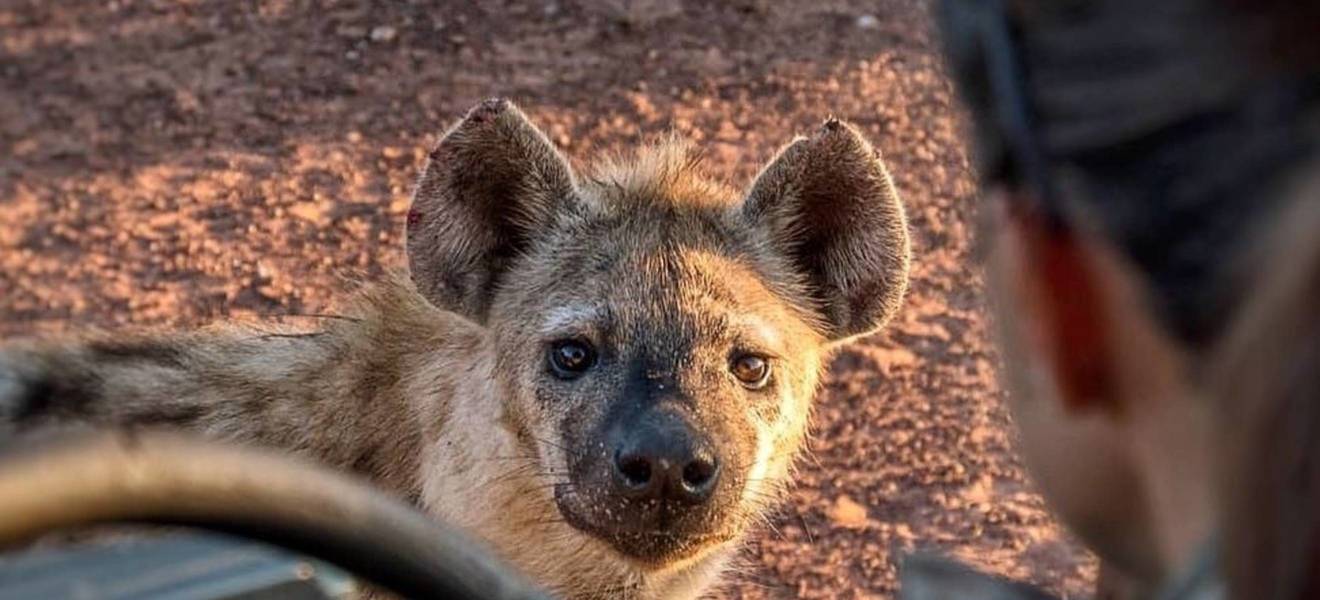 Susannes Zeit in Südafrika