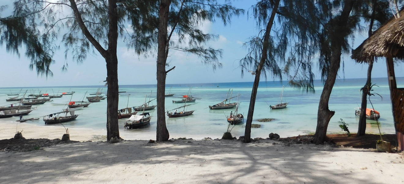 Janniks Zeit auf Sansibar