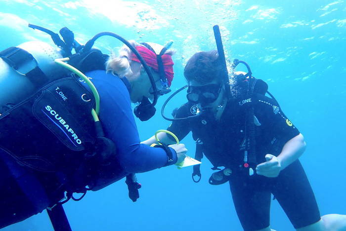 Freiwilligenarbeit in Australien