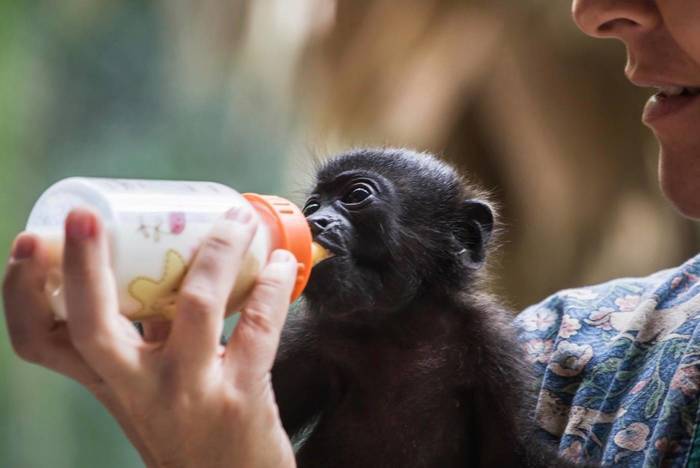 Sabbatical in Lateinamerika