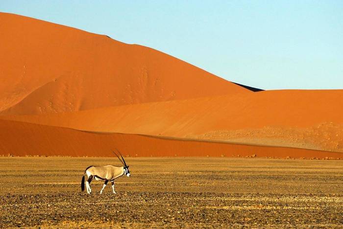 Header_Namibia_Reisen