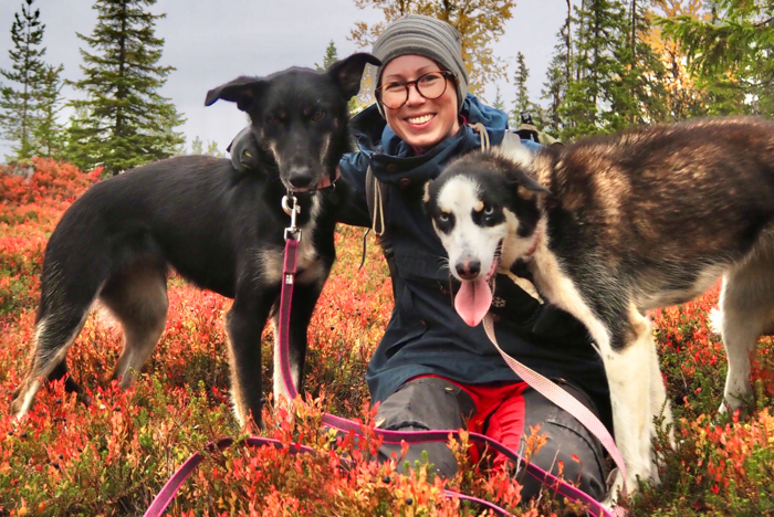 Freiwilligenarbeit in Nordamerika