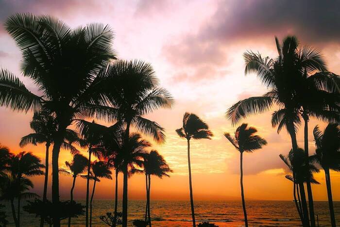 Freiwilligenarbeit auf Hawaii Sonnenuntergang