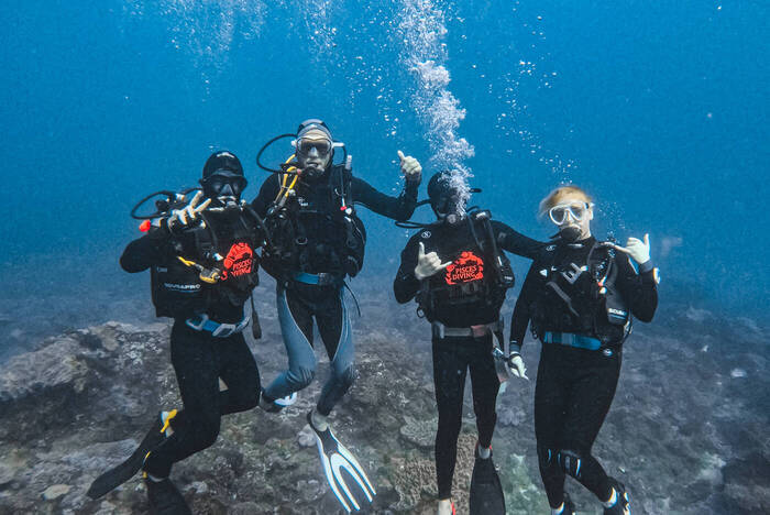 Freiwilligenarbeit Tauchen