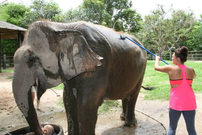 Freiwilligenarbeit in Thailand