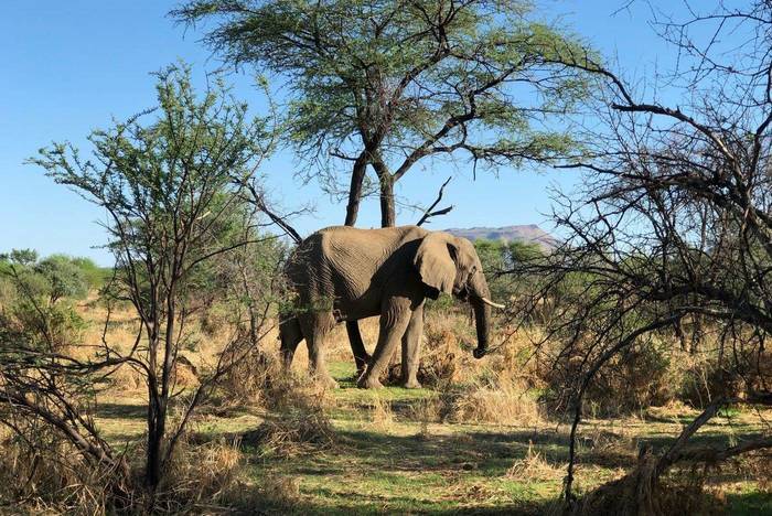 Volunteering in Namibia