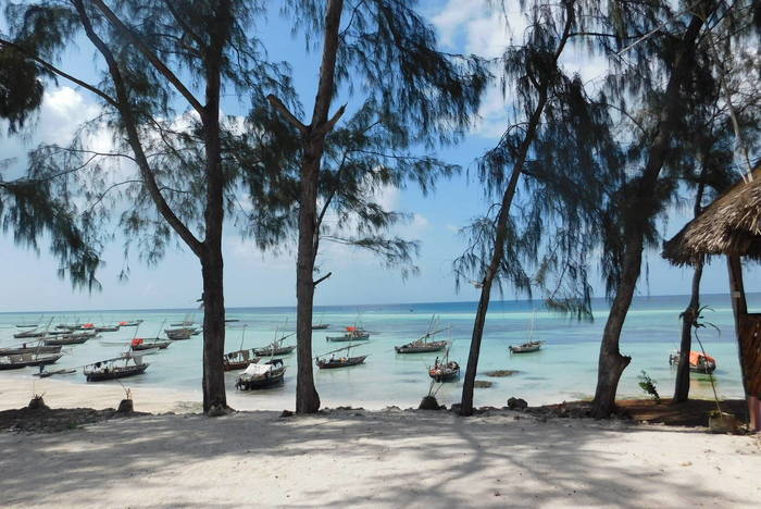 Freiwilligenarbeit in Tansania