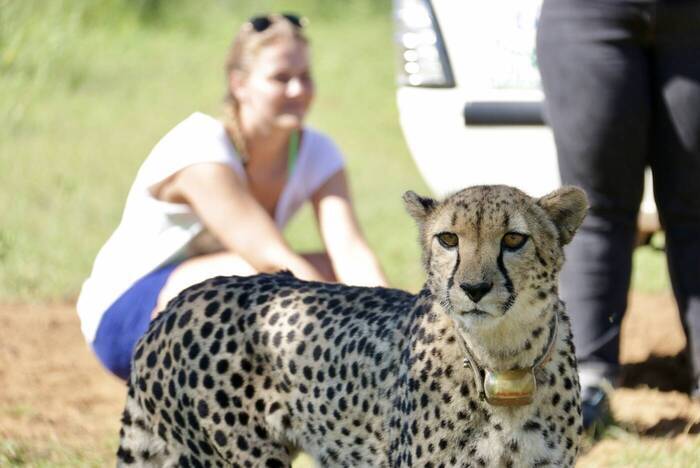 Freiwilligenarbeit und Volunteer Projekte im Ausland 