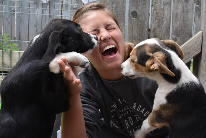 Freiwilligenarbeit in Rumänien
