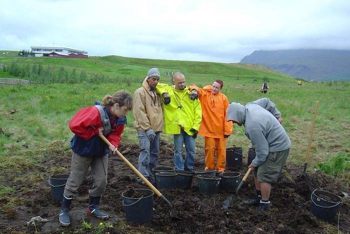 Freiwilligenarbeit in Island