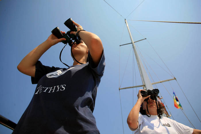 Freiwilligenarbeit in Italien