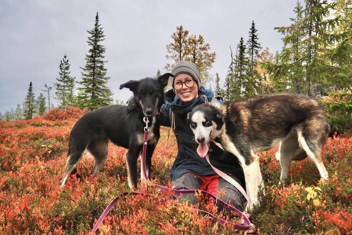 Freiwilligenarbeit in Schweden