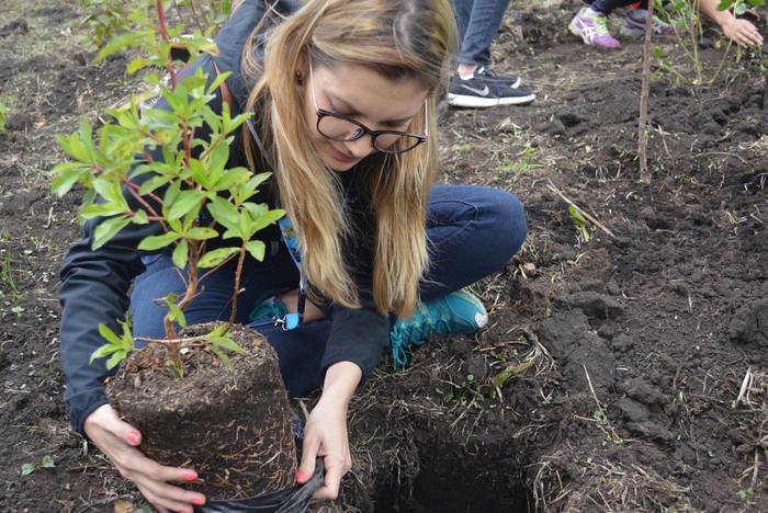 Freiwilligenarbeit in Chile