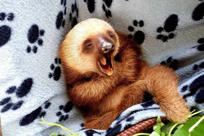 Costa Rica Sabbatical