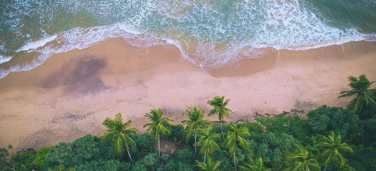 Auslandspraktikum in Sri Lanka