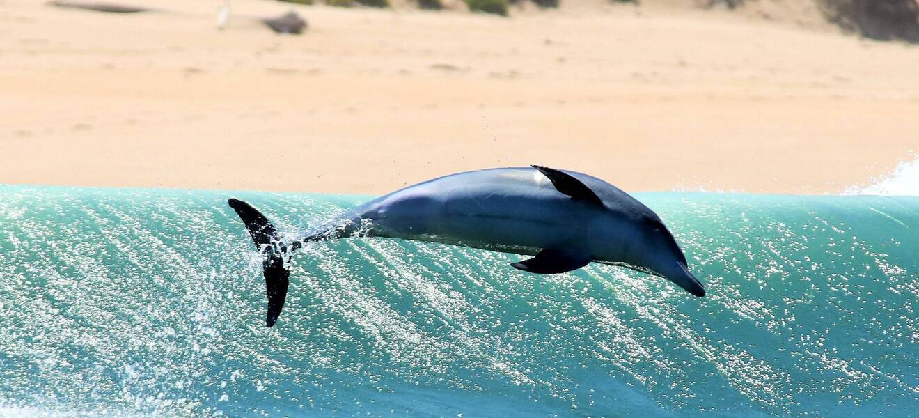 Volunteering in Südafrika