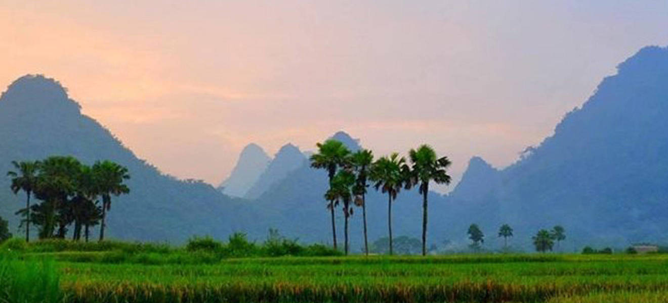 Unser Projekstandort in Vietnam