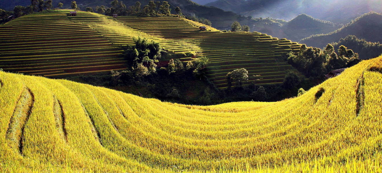 Freiwilligenarbeit in Vietnam