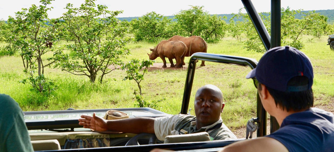 Freiwilligenarbeit im Tierschutz in Simbabwe