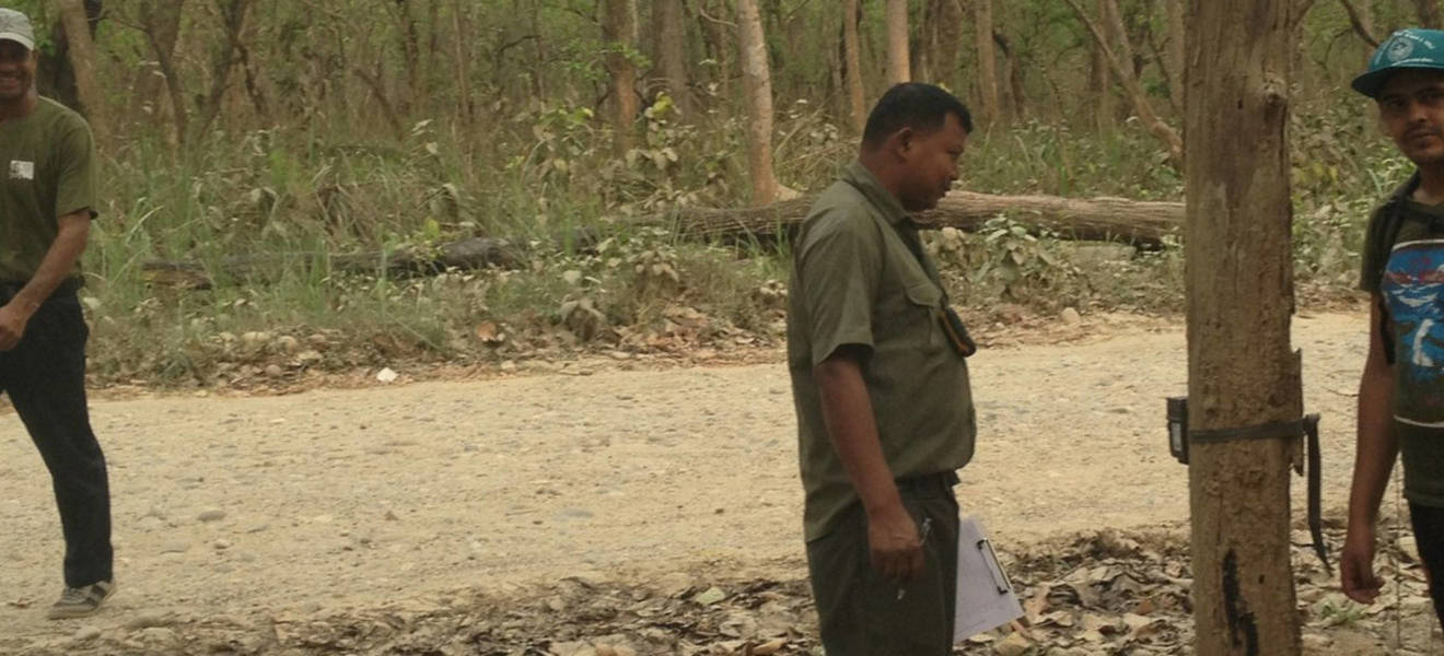 Freiwilligenarbeit im Tiger Projekt in Nepal