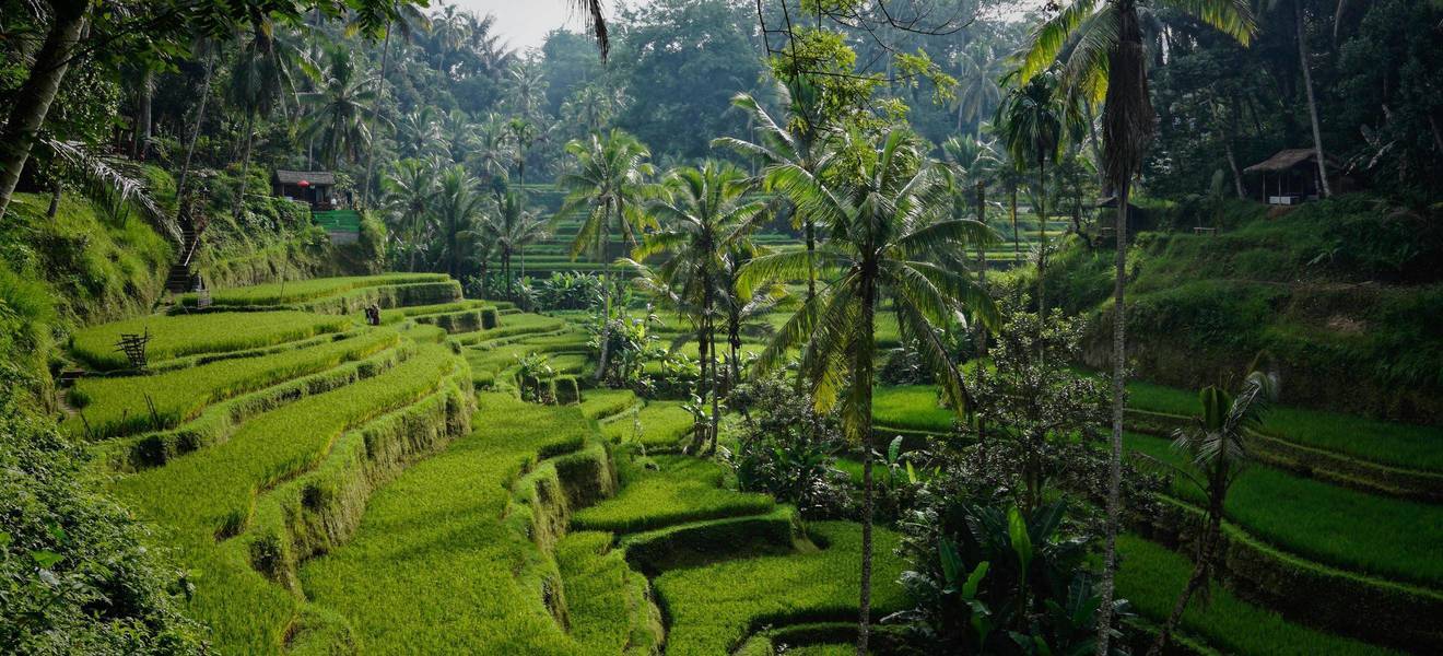 landscape in Bali