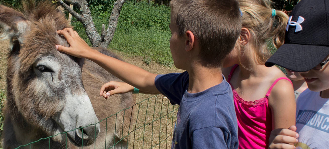 Ungarn Tierschutzprojekt