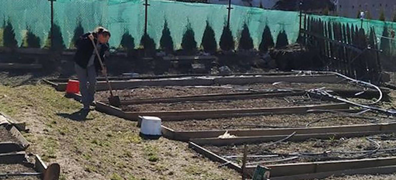 Freiwilligenarbeit im Umweltschutz Projekt in Rumänien