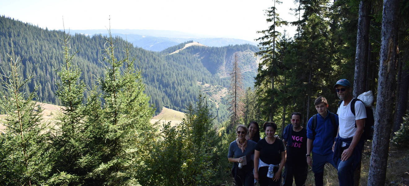 Deine Freizeit in Transsilvanien